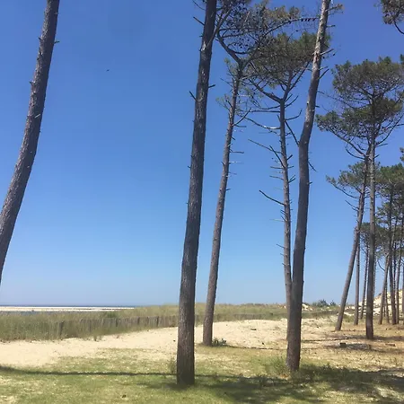 Spacieux Appartement *