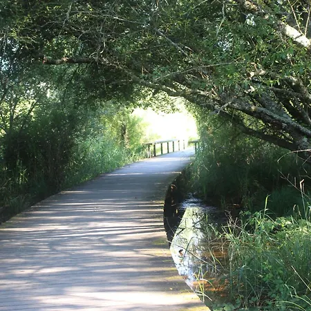 Appartement Spacieux