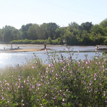Appartement Spacieux Arcachon