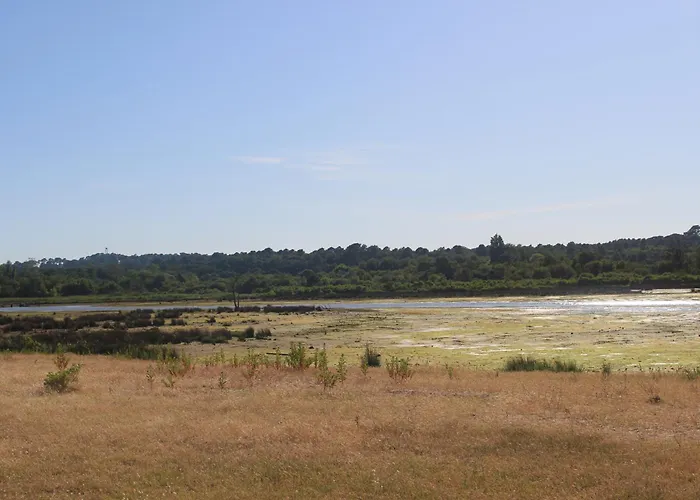 Apartment Spacieux *