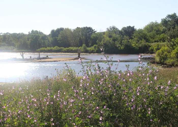 Daire Spacieux Arcachon